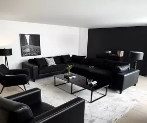 Czarne meble do salonu inspiracje